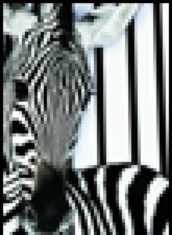 Logistics & Technology: The snags with tags