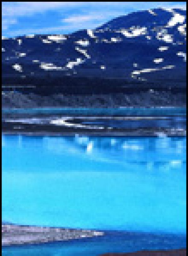 Chile Regions: Oenological exploration