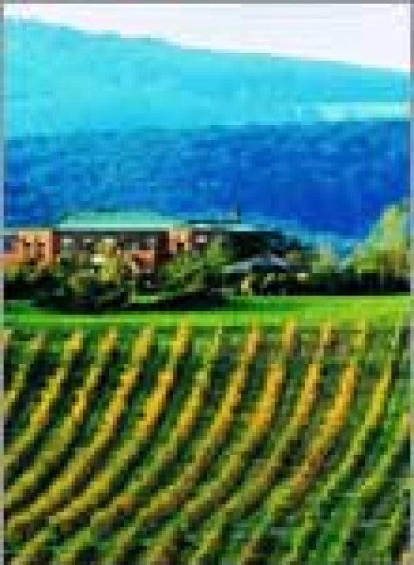 AUSTRALIA YARRA VALLEY: Cool customers