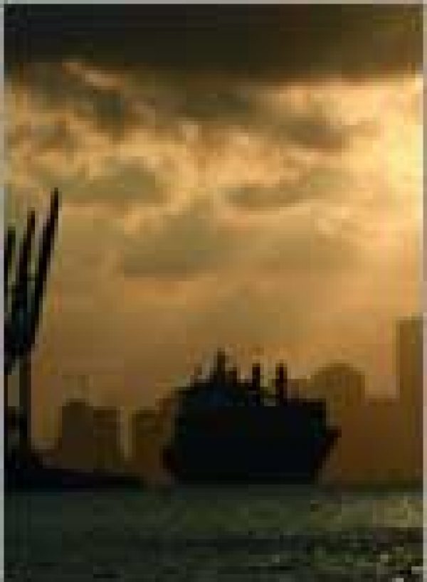 GREEN ISSUES TRANSPORT: Carbonic maceration