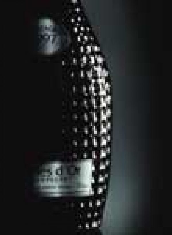 MARKETING BRAND BUILDER: Mass Market Luxury