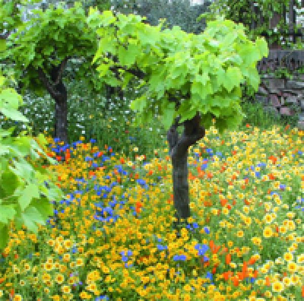 2006 Award Winner – Best PR Campaign