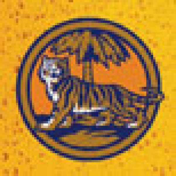 Tiger stalks young urbanites