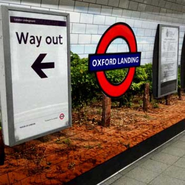 Oxford Landing tube plans scuppered