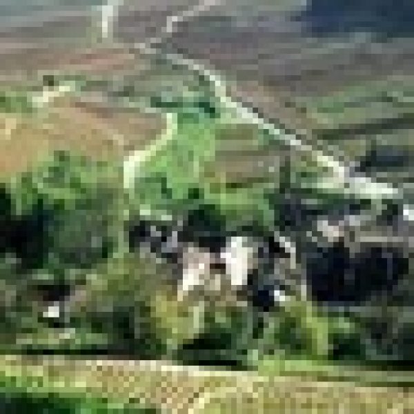 BIVB tastings to highlight climats