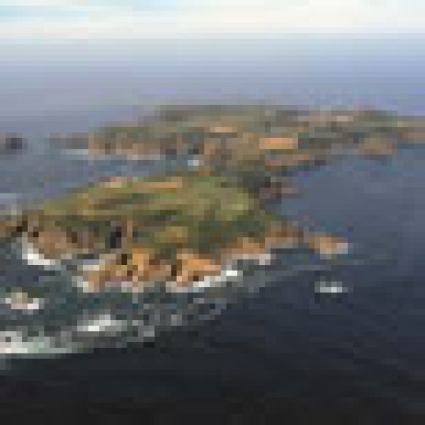 Barclay brothers to plant vines on Sark