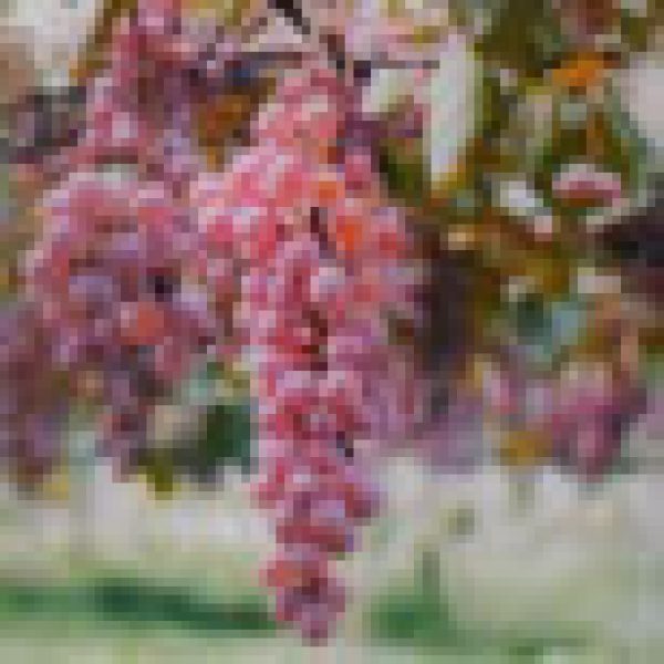 Robinson calls for on-trade Koshu focus