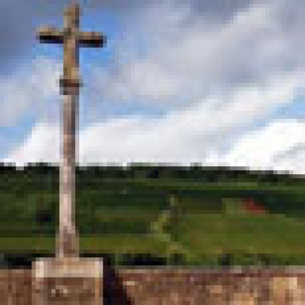 Burgundy steals the show