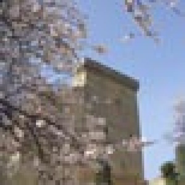 Rhone looking at another good year