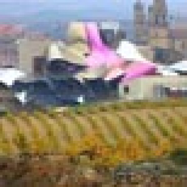 Rioja exports rise and rise