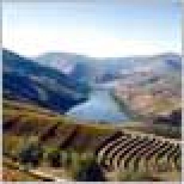 Record Parker points for Port 2007