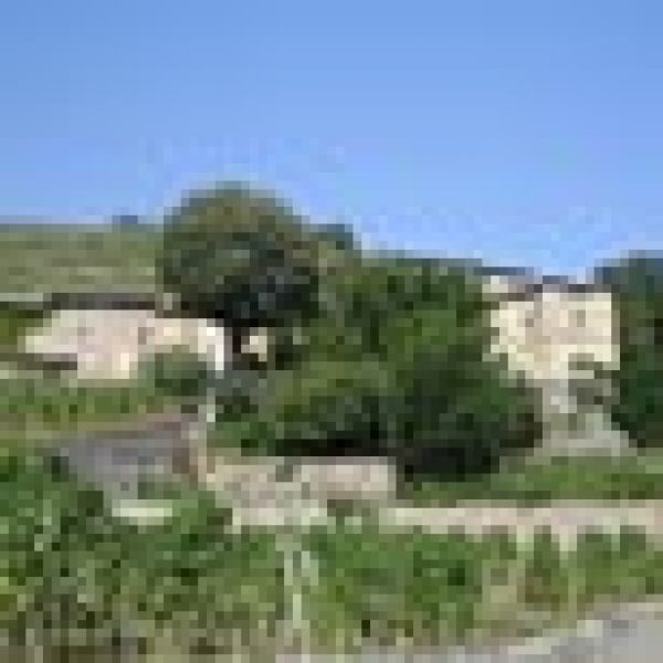 Pinault buys Rhone property