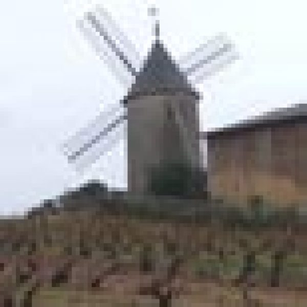 Premier crus return to Beaujolais