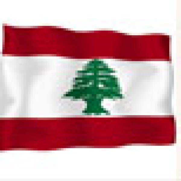 Profile: Lebanese Fine Wines