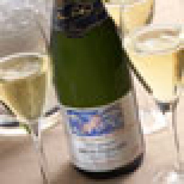 Paillard UK launch hopes to replicate US success