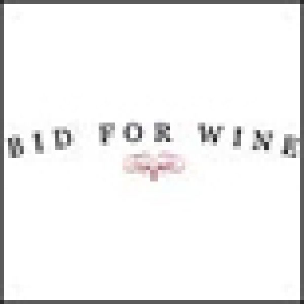 Online auction site seeks investment for expansion