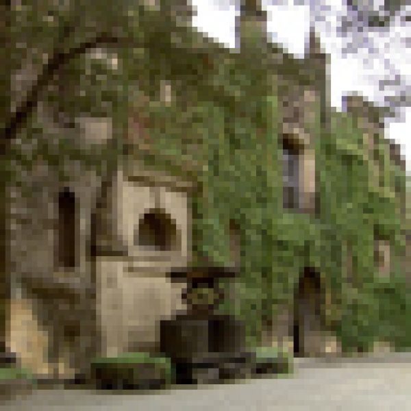 Bancroft backs Chateau Montelena