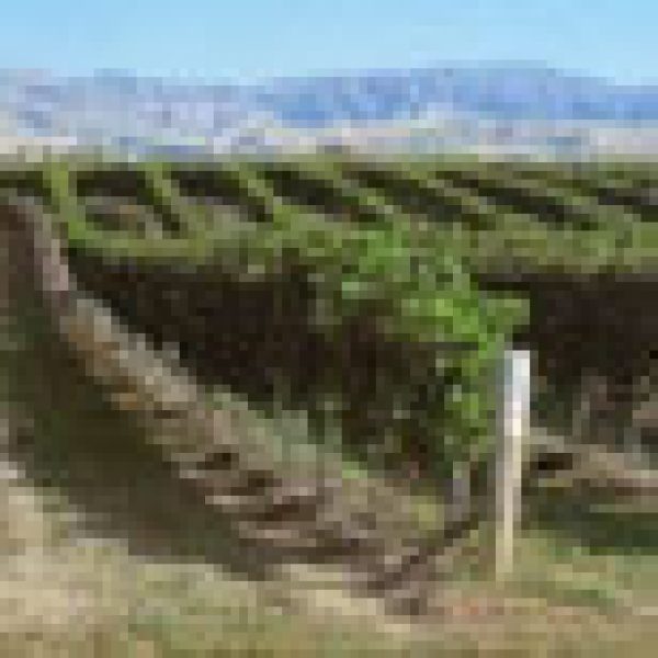 Romania finds its Heroes