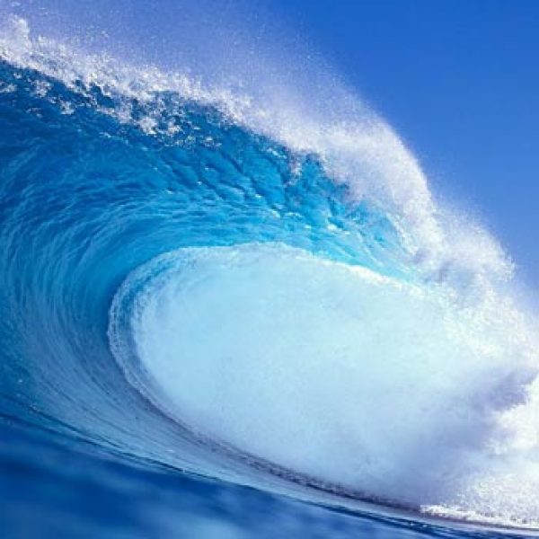 Second wine price surge