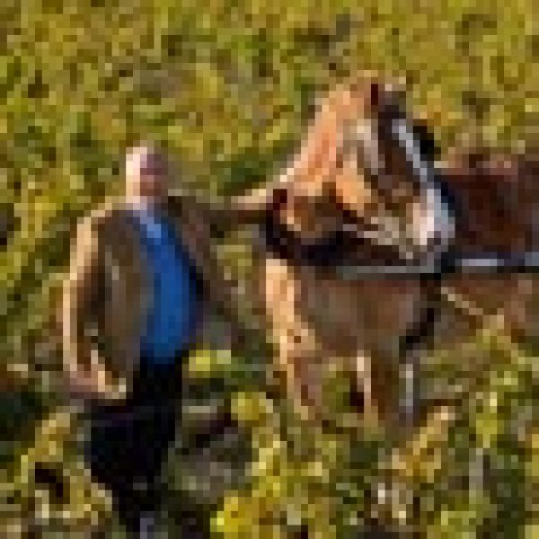 Pontet-Canet leads classed growths in green approach