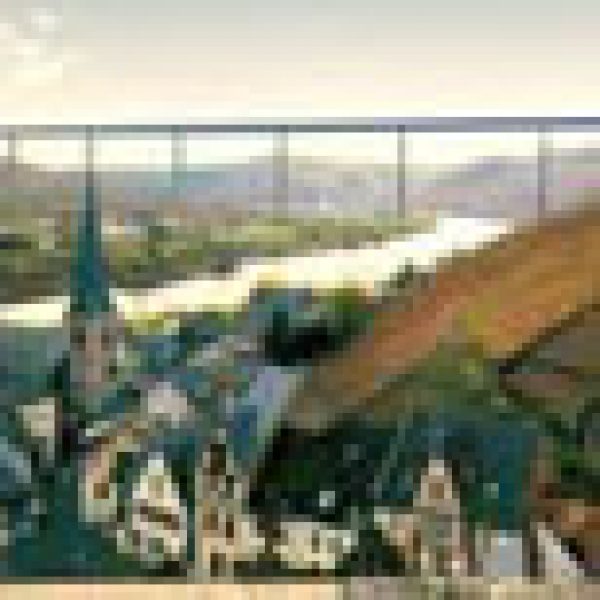 Forum called to prevent grand cru vineyard destruction