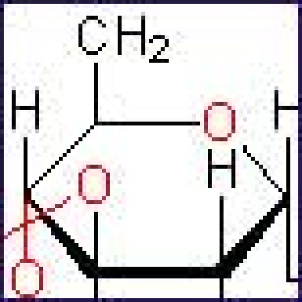Online tannin gauge released