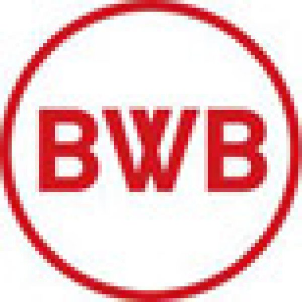 Auctioneers team up for Bordeaux sale