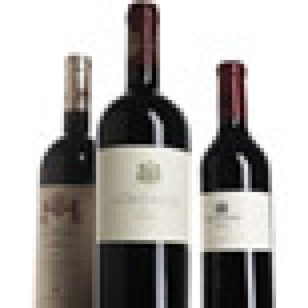 Antinori brothers showcase new venture