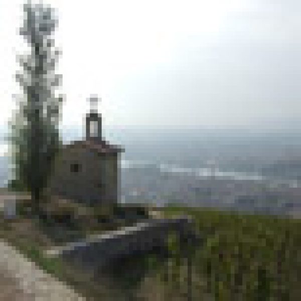 Will Rhone 09 be a year for the north?