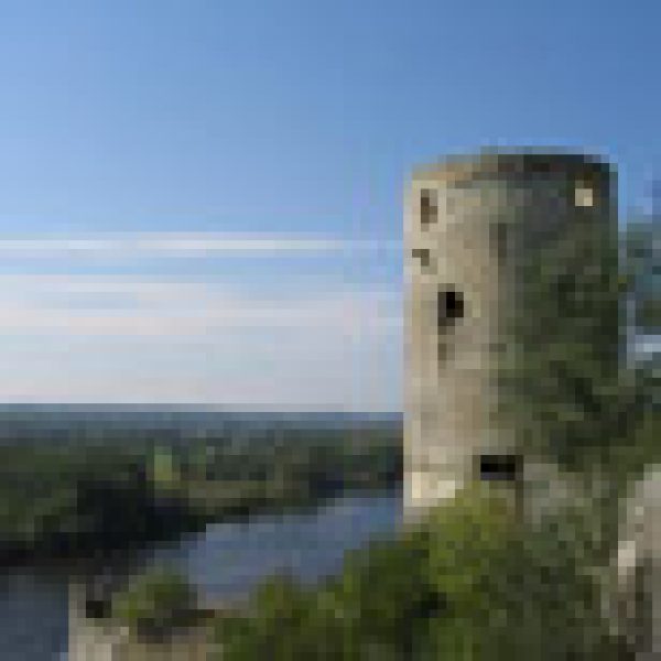 Wonderful reds from Loire in 2009