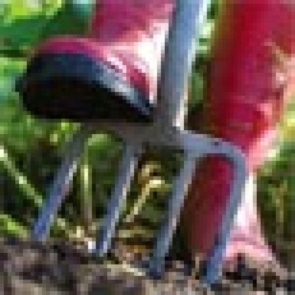 FRANCE: How does your garden grow