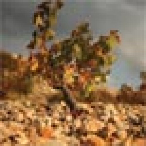 LEBANON: Eastern promise