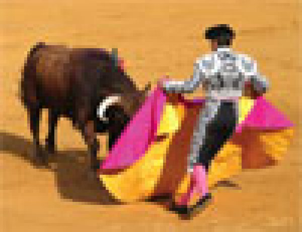 RIOJA: Roads less travelled