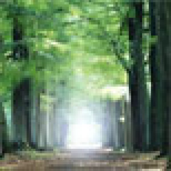 WINE: Not out of the woods yet