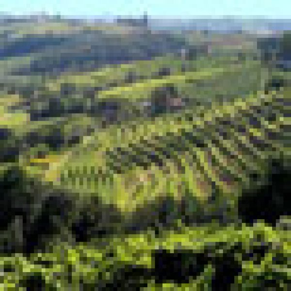 Something slightly different at LIWF