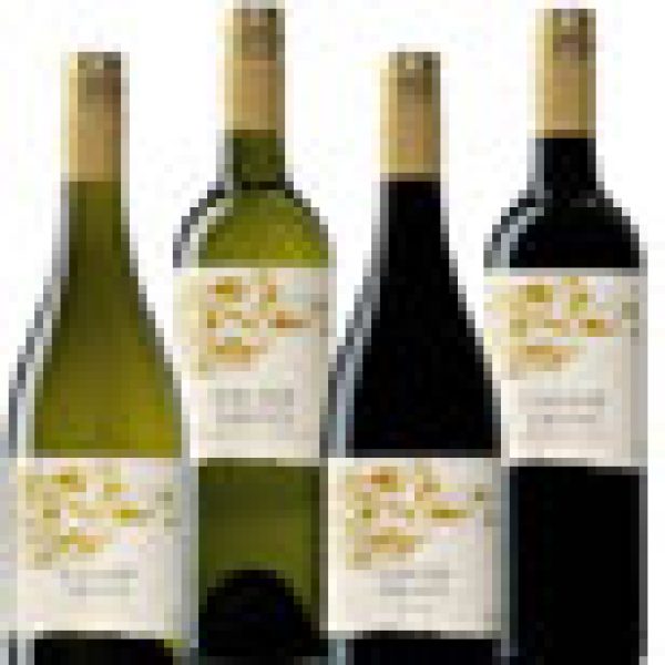 Qualia in Clink tie-up