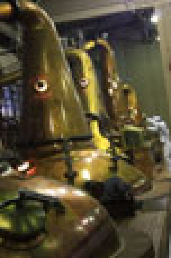 Girl About World: Land of the rising Suntory