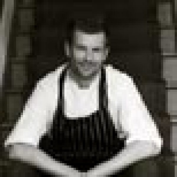 Toms Terrace returns