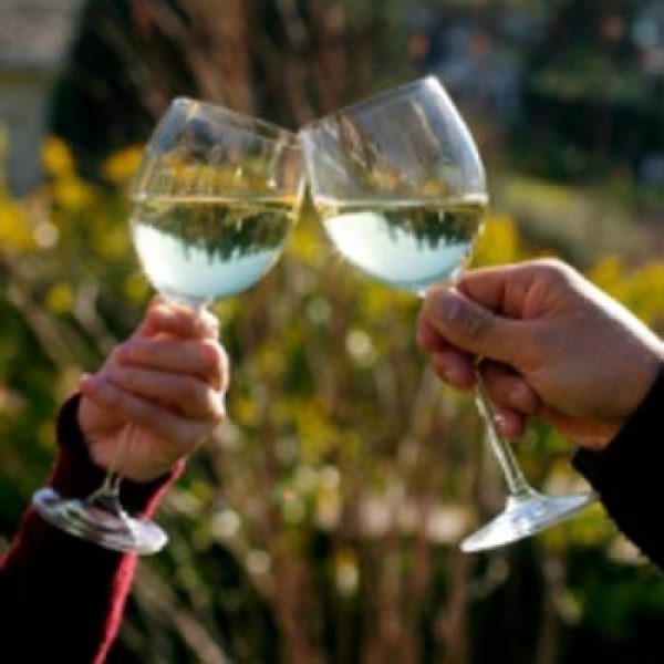 New festival for English wine announced for the autumn