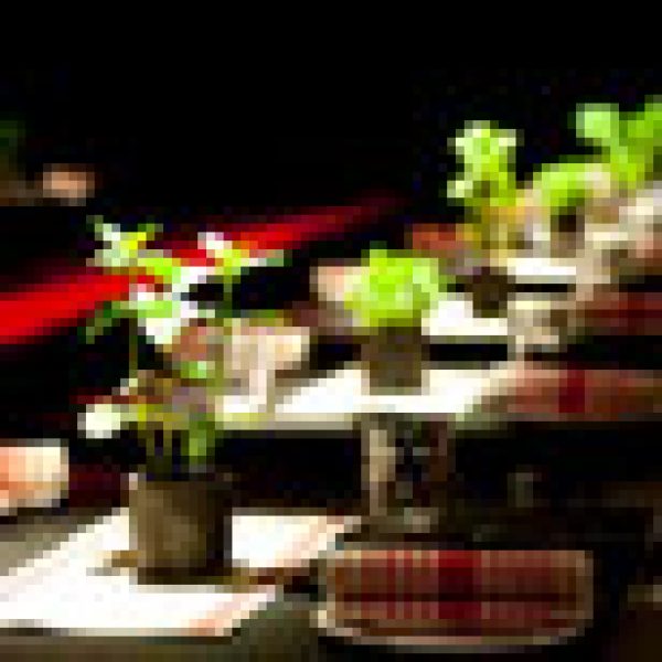 Antunes opens for business