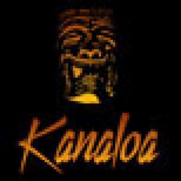 Female-friendly bar gets the party started