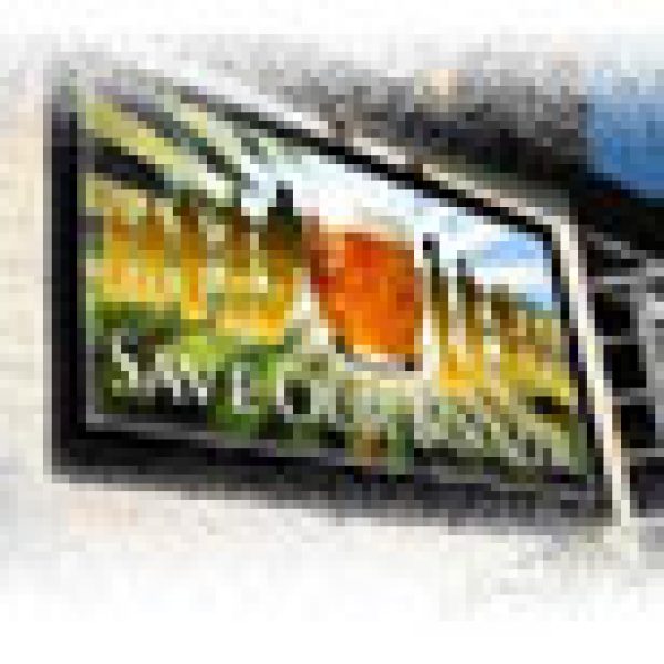 New TV series seeks to save UK pub