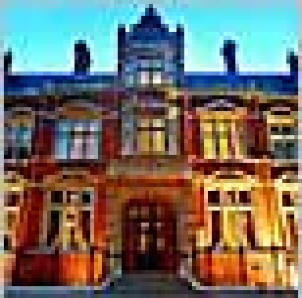 Australia and India go head to head