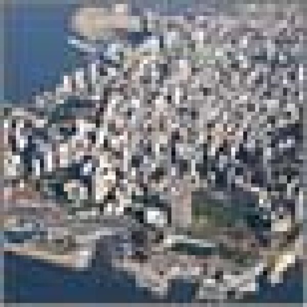 Gaucho heads to Beirut