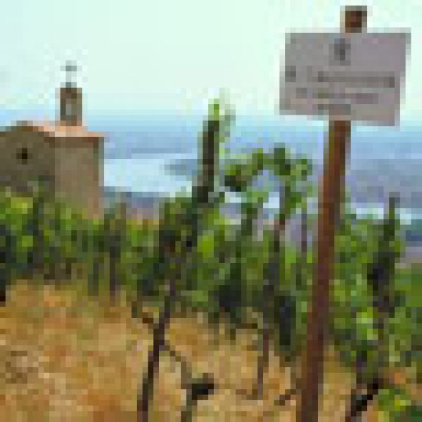 Boutinot plans ambitious expansion