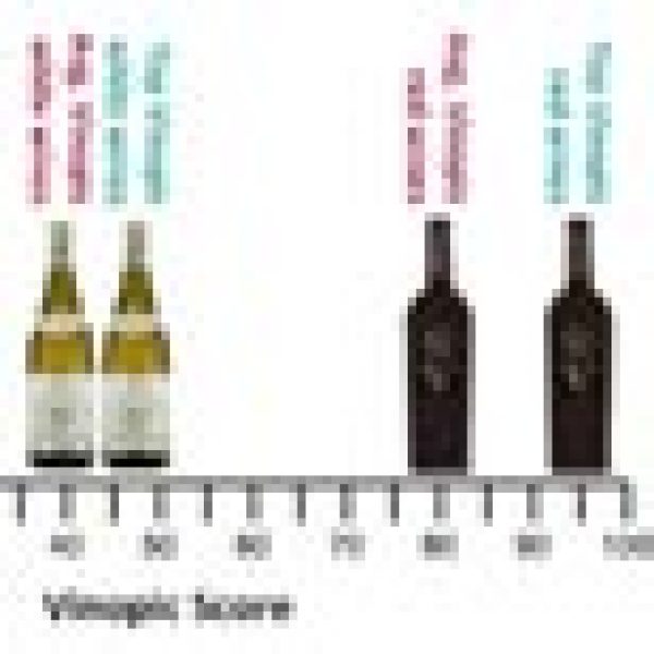 New online wine merchant launched