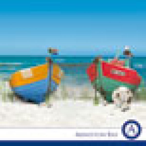 World Cup frenzy kicks off