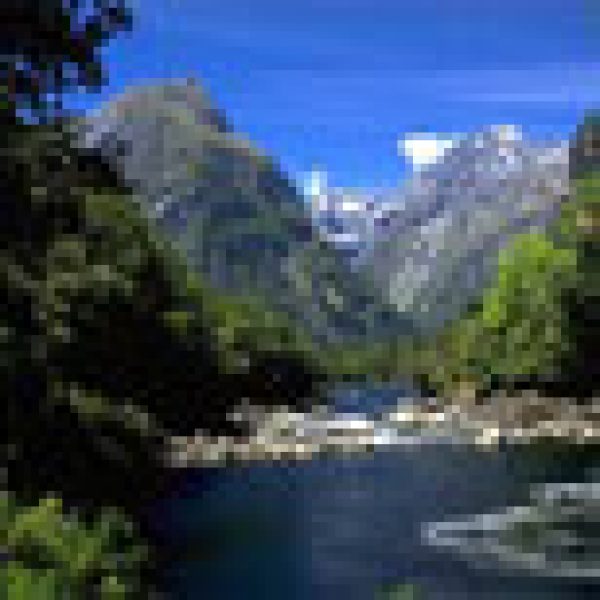 Retailer offers trip of a lifetime