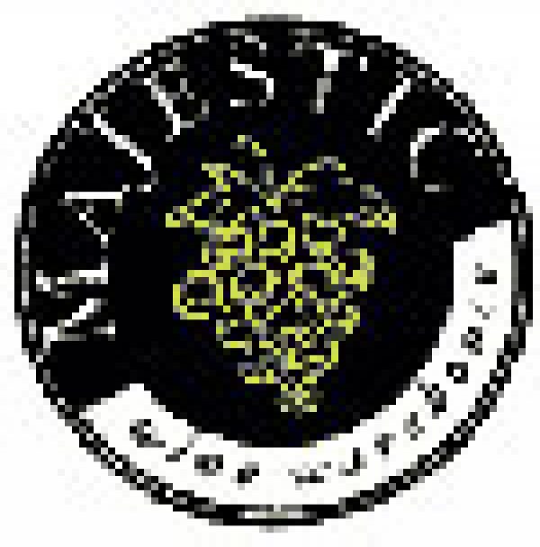 Majestic posts positive figures