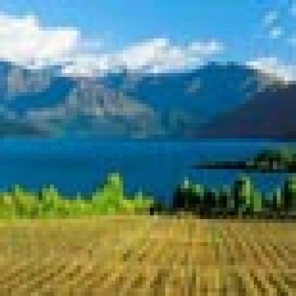 Cox issues NZ price erosion warning